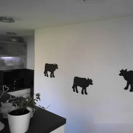 아파트 Ferienwohnung Dunja 바트사흐사
